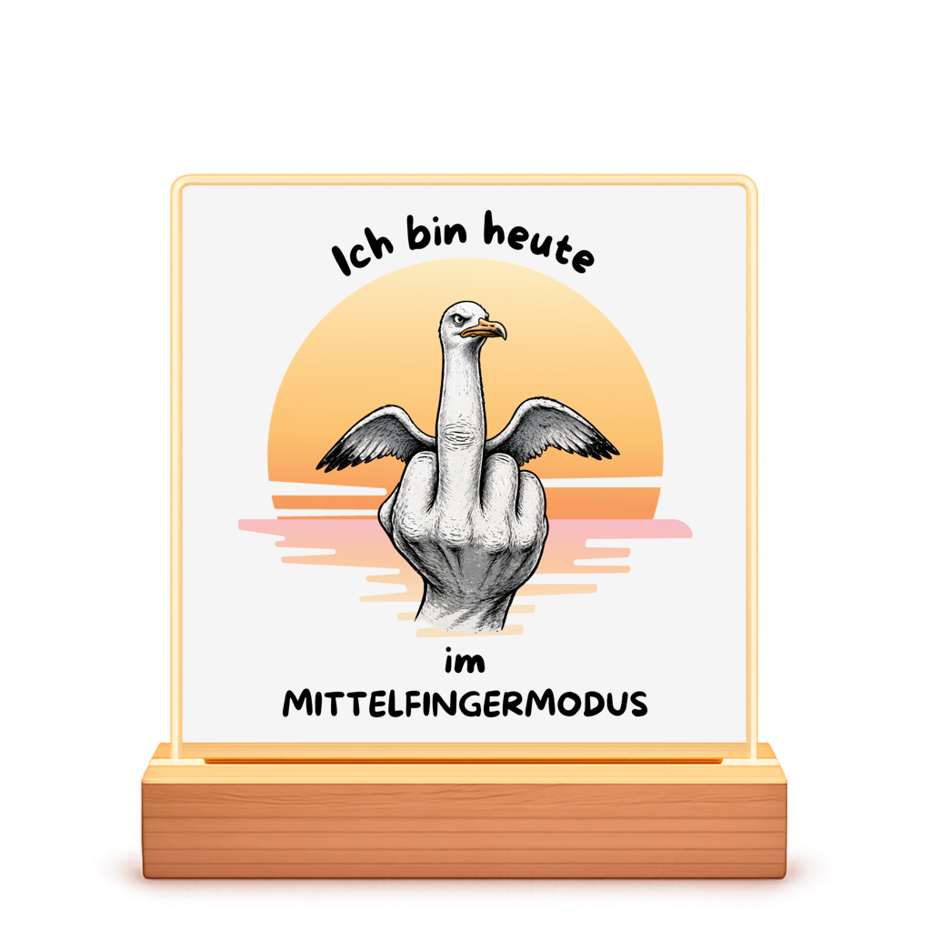 Beleuchteter Bilderrahmen Quadrat Möve mit Motiv: Mittelfingermodus