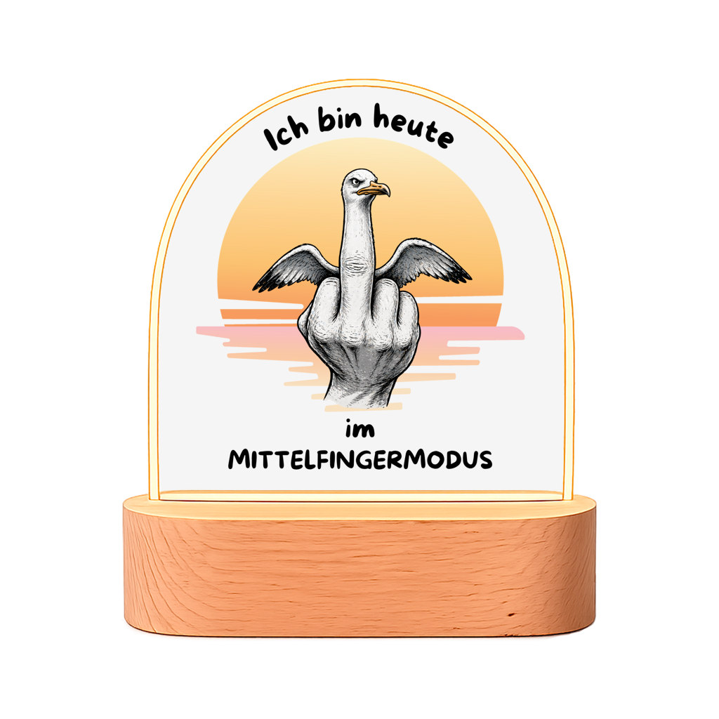 Beleuchteter Bilderrahmen Oval Möve mit Motiv: Mittelfingermodus
