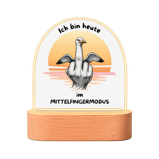 Beleuchteter Bilderrahmen Oval Möve mit Motiv: Mittelfingermodus