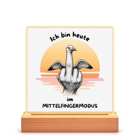 Beleuchteter Bilderrahmen Quadrat Möve mit Motiv: Mittelfingermodus