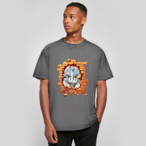 Oversize Washed T-Shirt Stonebreak-Möve-Mittelfinger